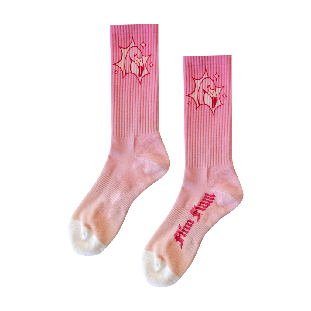 Flim Flam Socks Flamingo